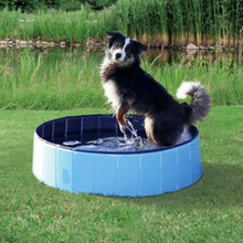 TRIXIE 39481 lekpool för hundar Hård pool för husdjur