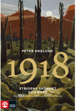 Stridens skönhet och sorg 1918 : första världskrigets sista år i 88 korta kapitel (inbunden)