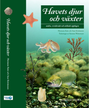 Havets djur och växter (bok, flexband)