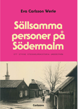 Sällsamma personer på Södermalm : ett stycke Stockholmshistoria underifrån (inbunden)