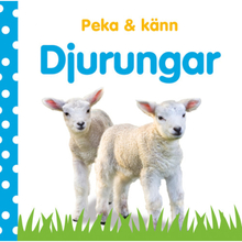 Peka & känn. Djurungar (bok, board book)