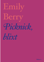 Picknick, blixt (bok, danskt band)