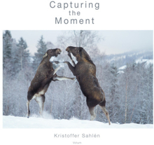 Capturing the Moment (inbunden, eng)