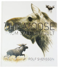The moose : from calf to adult (inbunden, eng)