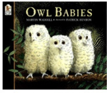 Owl Babies (häftad, eng)