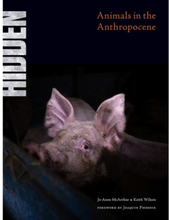 Hidden : Animals in the Anthropocene (inbunden, eng)