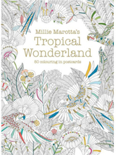 Millie Marottas Tropical Wonderlan (häftad, eng)