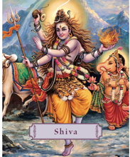 Shiva: Lord Of The Dance (Pocket-Sized) (H) (inbunden, eng)