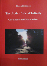 The active side of infinity : Castaneda and shamanism (häftad, eng)