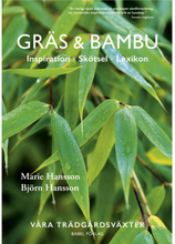 Gräs & bambu : inspiration - skötsel - lexikon (inbunden)