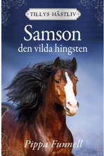 Samson : den vilda hingsten (inbunden)