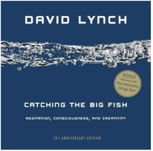 Catching the Big Fish 10th Anniversary (bok, eng)