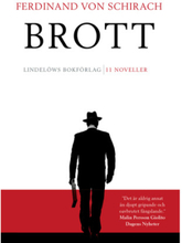 Brott : 11 noveller (pocket)
