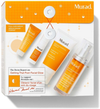 Giftset Murad The Derm Report Getting That Post-Facial Glow