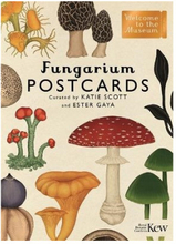 Fungarium Postcards (bok, eng)