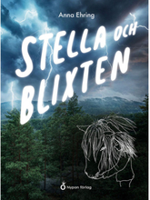 Stella och blixten (bok, kartonnage)