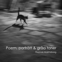 Poem, porträtt & gråa toner (inbunden)