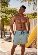Animal Mens Deep Dive Recycled Boardshorts