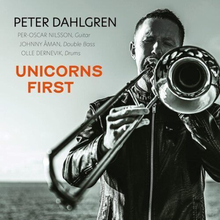 Peter Dohlgren : Unicorns First CD (2021)