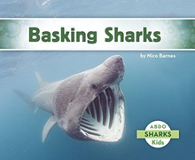 Basking Sharks, Barnes, Nico
