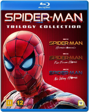 Spider-Man 1-3 (Blu-ray) (3 disc)