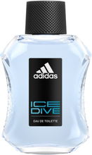 Ice Dive WC-vesisuihke 100 ml