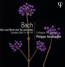 Johann Sebastian Bach : Bach: Herz Und Mund Und Tat Und Leben: Cantatas BWV