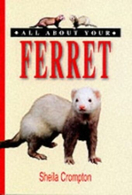 All About Your Ferret (All About Se…, Crompton, Sheil