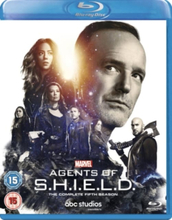 Marvels Agents Of S.H.I.E.L.D. - Season 5 (Blu-ray) (Import)