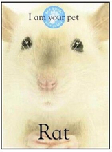 I am Your Pet Rat (I am Your Pet……, Rayner, Matthew