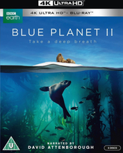 Blue Planet II (4K Ultra HD + Blu-ray) (Import)