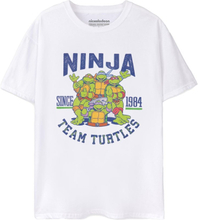 Teenage Mutant Ninja Turtles Mens 1984 Collegiate Short-Sleeved T-Shirt