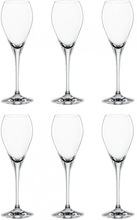 Party Champagne Glass 16cl, 6-pack - Spiegelau