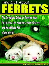 Find Out About Ferrets: Complete Guide to T… by Patterson, Colin
