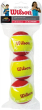 Wilson Starter Red -tennispallo, 3 kpl