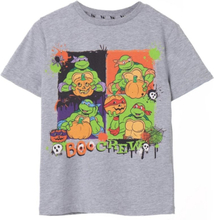 Teenage Mutant Ninja Turtles Childrens/Kids Boo Crew Marl T-Shirt