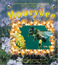 The Life Cycle of a Honeybee, Bobbie Kalman
