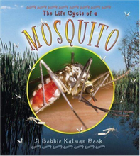 The Life Cycle of a Mosquito, Bobbie Kalman