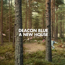 Deacon Blue: A new house 2014