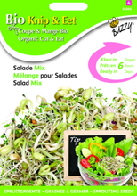 Salade Mischung - Buzzy Organic Sprouting