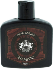 Shampoo shampoo hiusten ja parran hoitoon 250ml