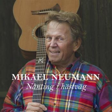 Neumann Mikael: Nånting i hästväg 2013