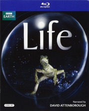 Life (Blu-ray) (4 disc) (Import)