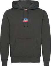 Standard Graphic Hoodie Mini S Tops Sweatshirts & Hoodies Hoodies Black LEVI´S Men