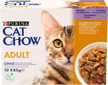 PURINA Cat Chow Lammas, vihreät pavut - kissan märkäruoka - 10x85 g