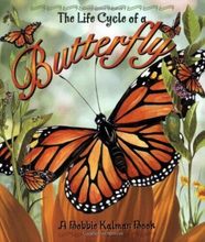 The Life Cycle of Butterfly by Kalman, Bobbie