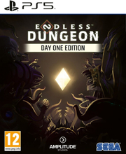 Endless Dungeon (Day One Edition) (PlayStation 5)