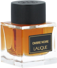 Miesten parfyymi Lalique EDP Ombre Noire 100 ml