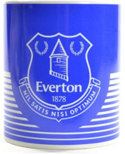 Everton FC Linear Mug