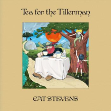 Stevens Cat: Tea For The Tillerman